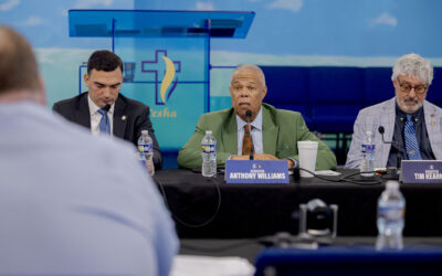 Senate Democratic Policy Committee Hearing on Addressing Hit & Runs and the Jay Alerts Pilot Program