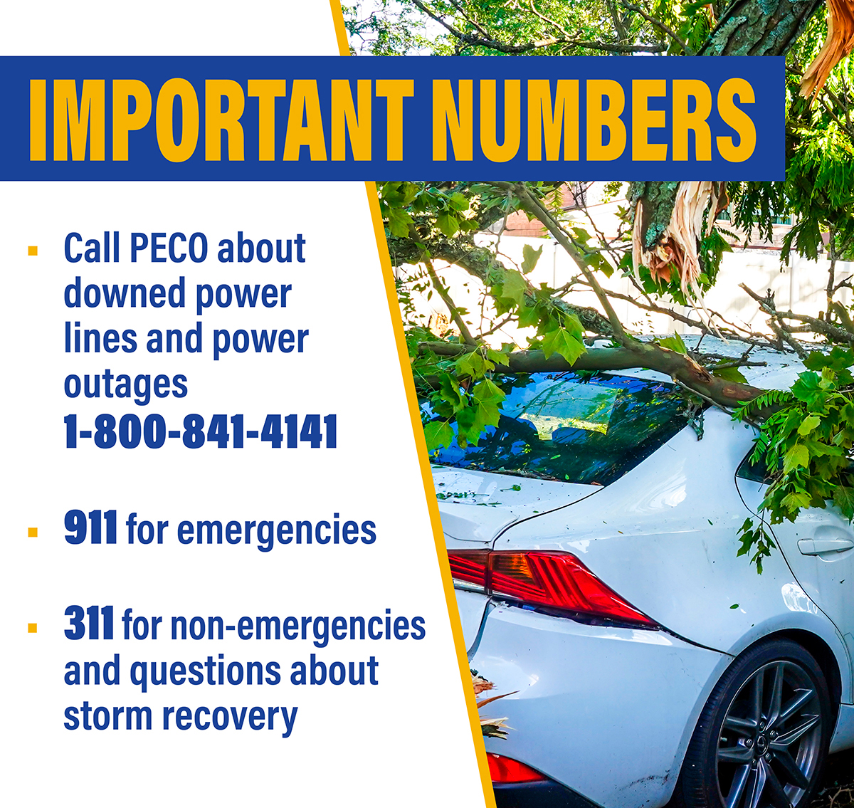 Storm Response Numbers